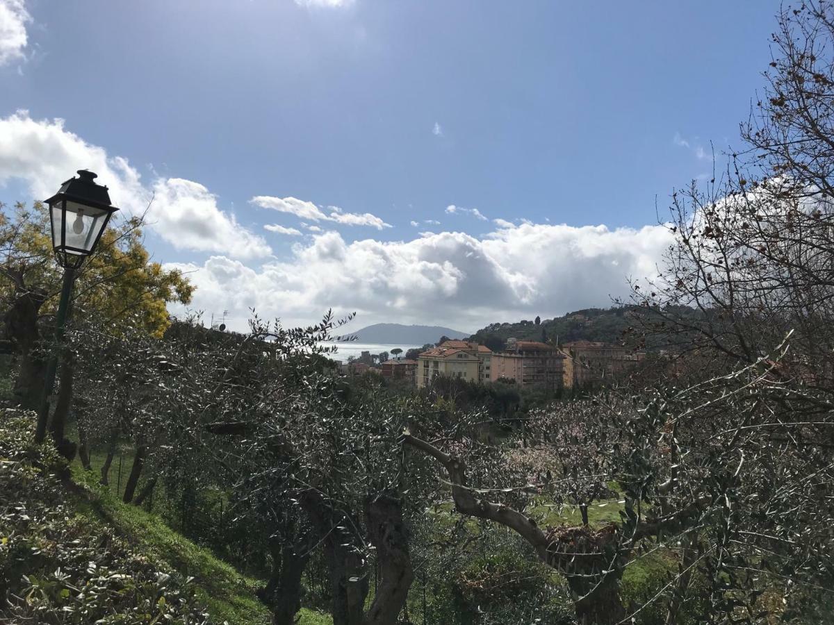 莱里奇La Casa Fra Gli Ulivi公寓 外观 照片