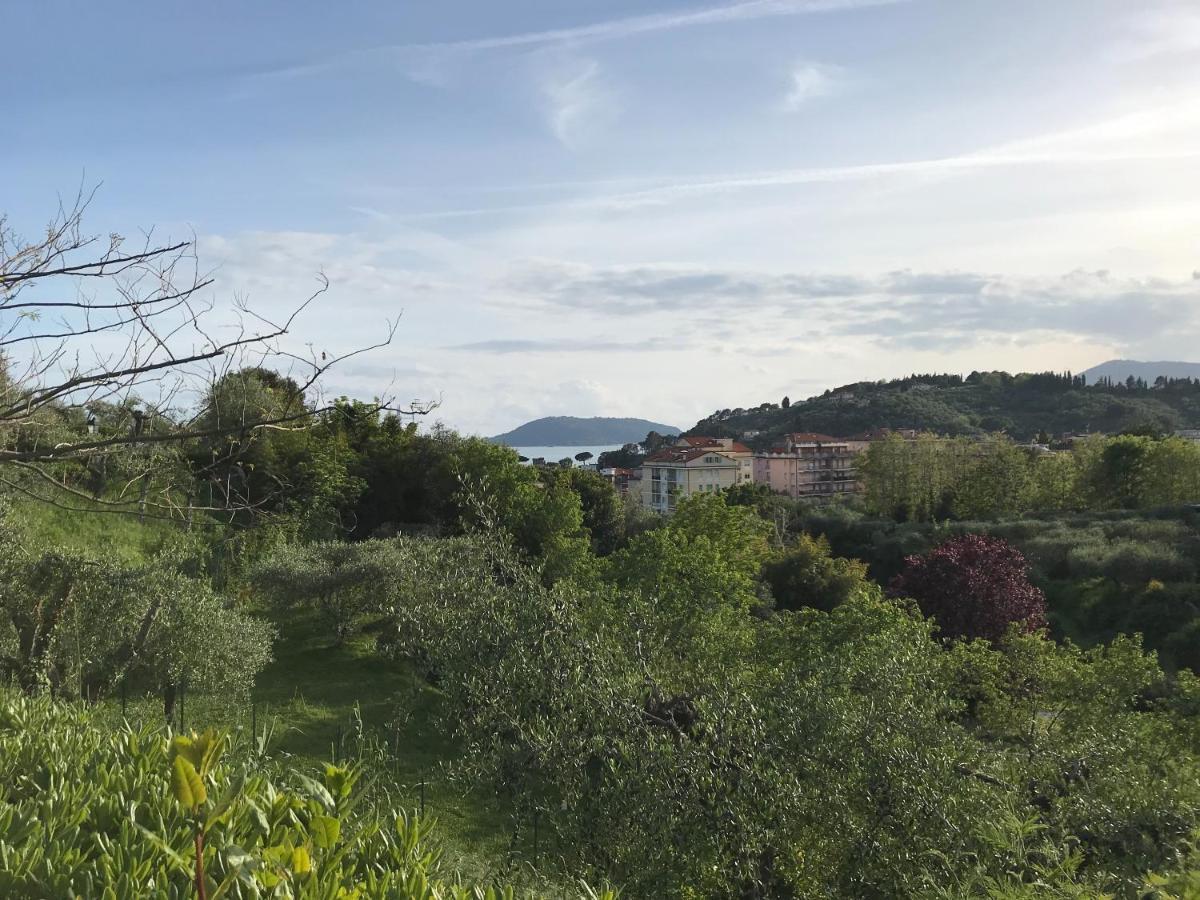 莱里奇La Casa Fra Gli Ulivi公寓 外观 照片
