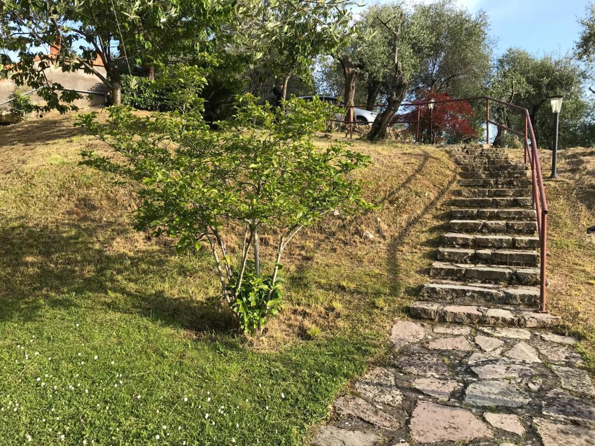 莱里奇La Casa Fra Gli Ulivi公寓 外观 照片