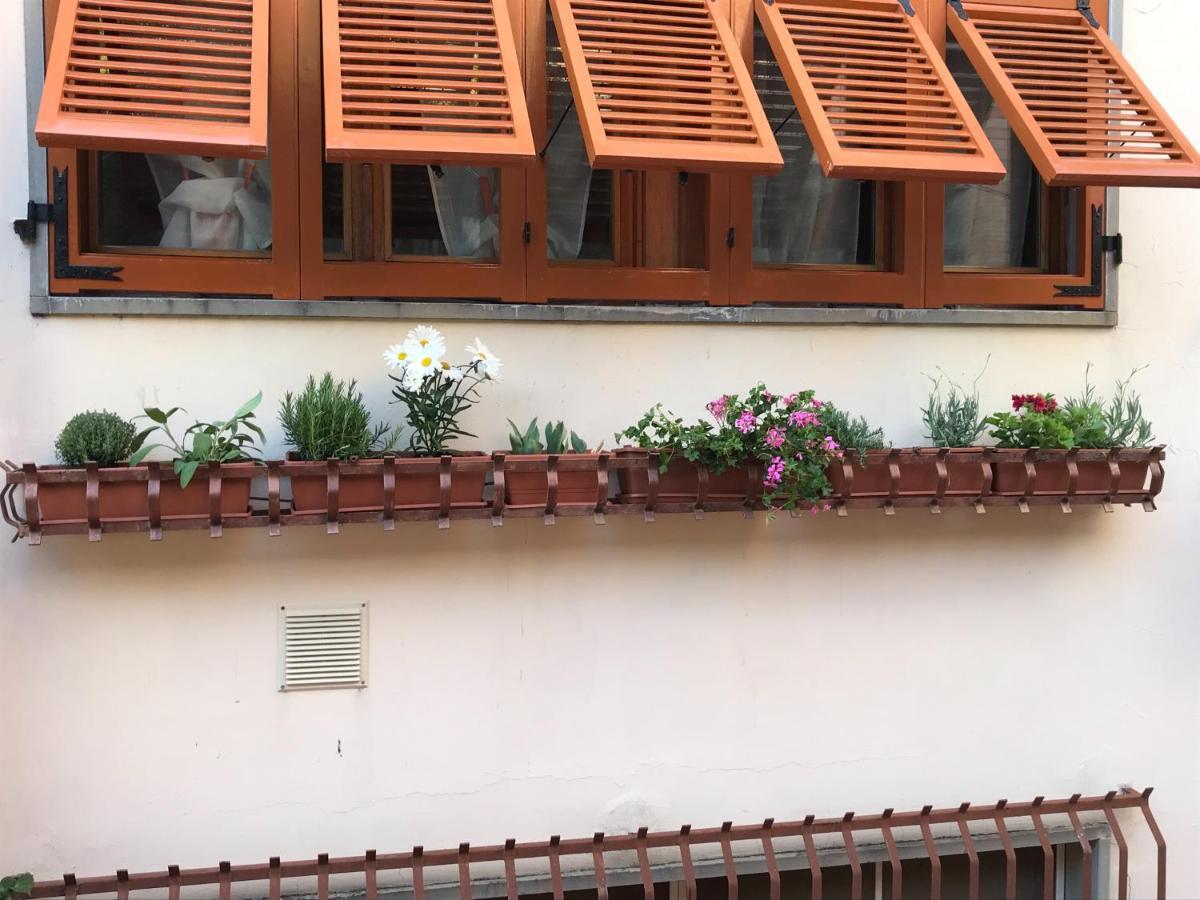 莱里奇La Casa Fra Gli Ulivi公寓 外观 照片