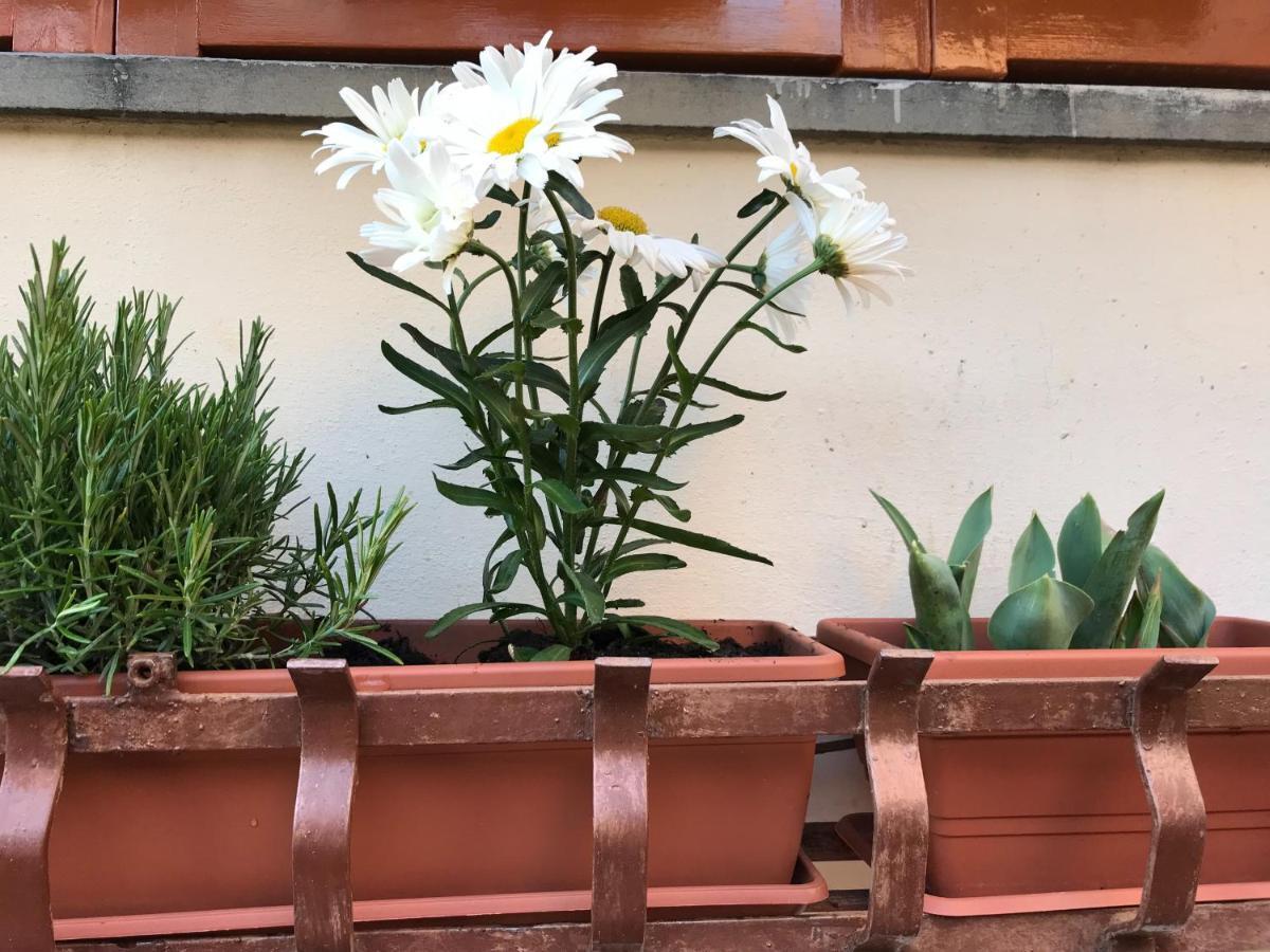 莱里奇La Casa Fra Gli Ulivi公寓 外观 照片